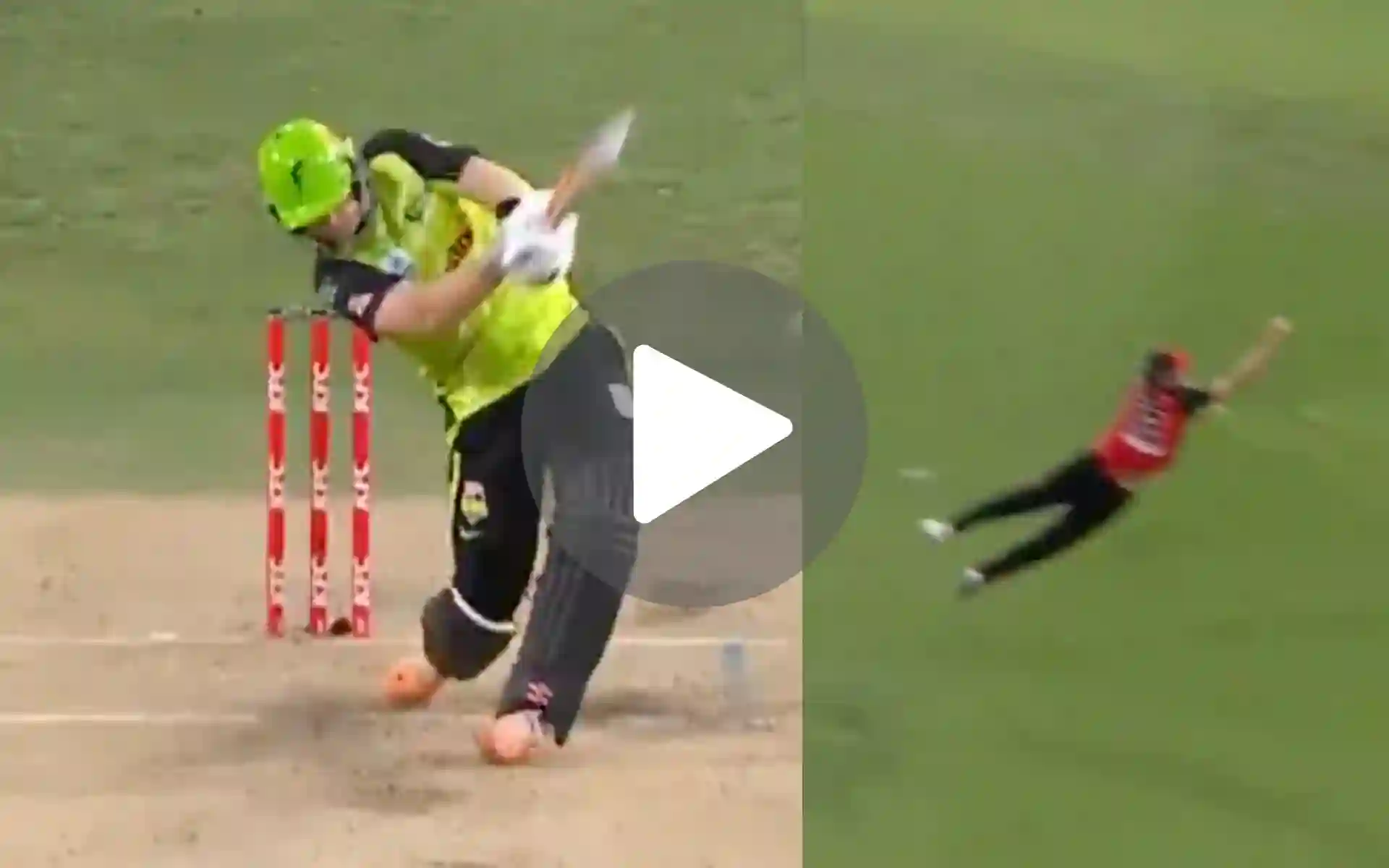 [Watch] Sutherland Does It For Renegades! Pulls Of BBL History's Toughest Catch Ever